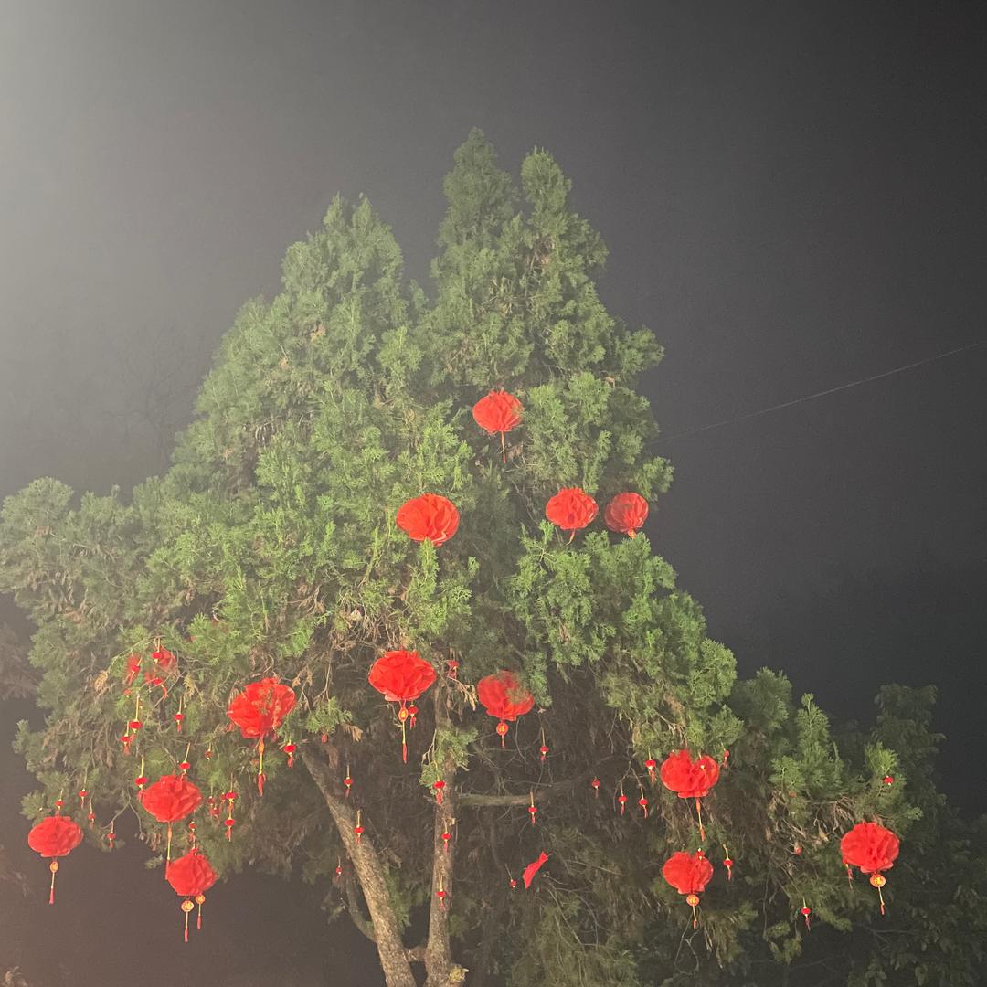 白沙先生