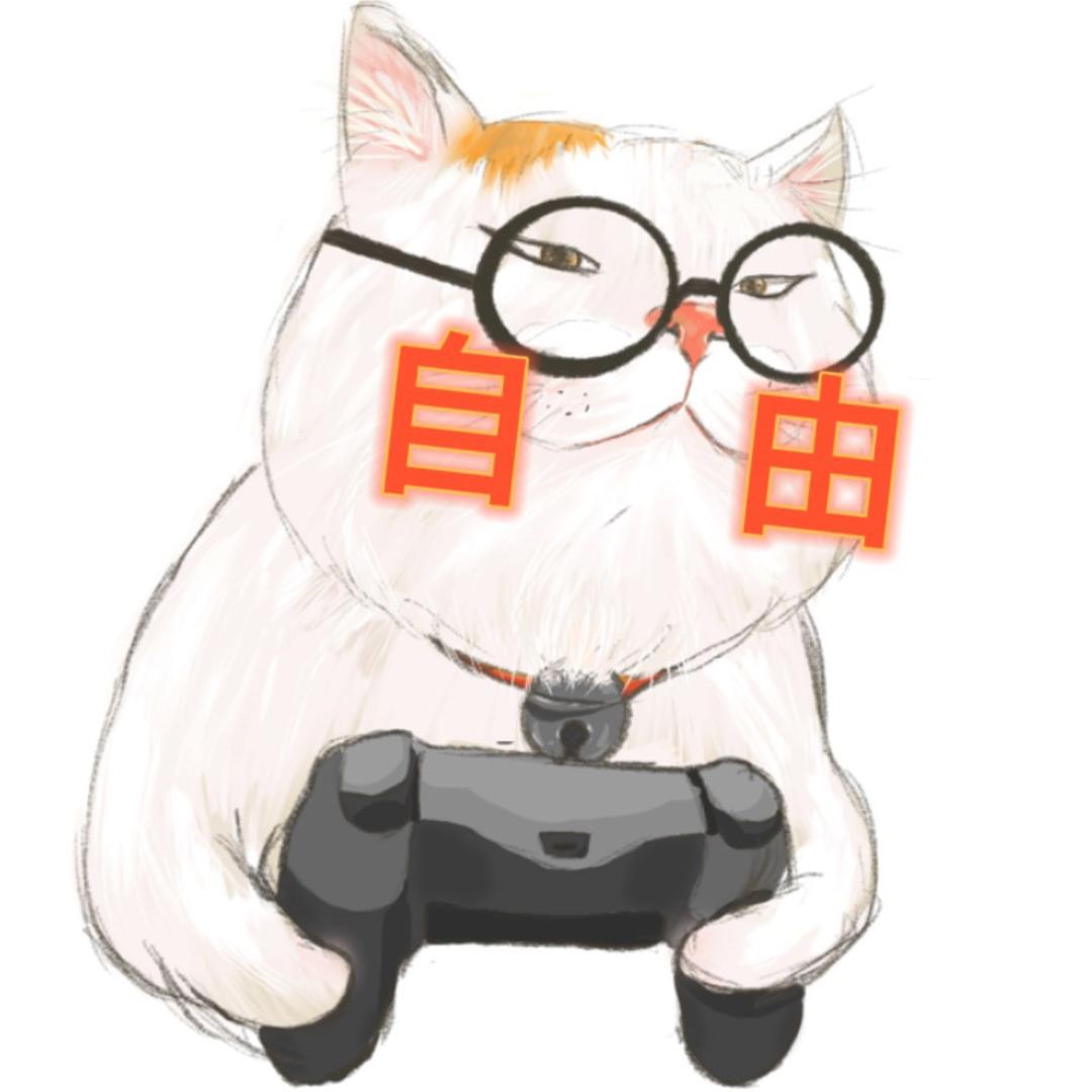 喵十一吃睡玩