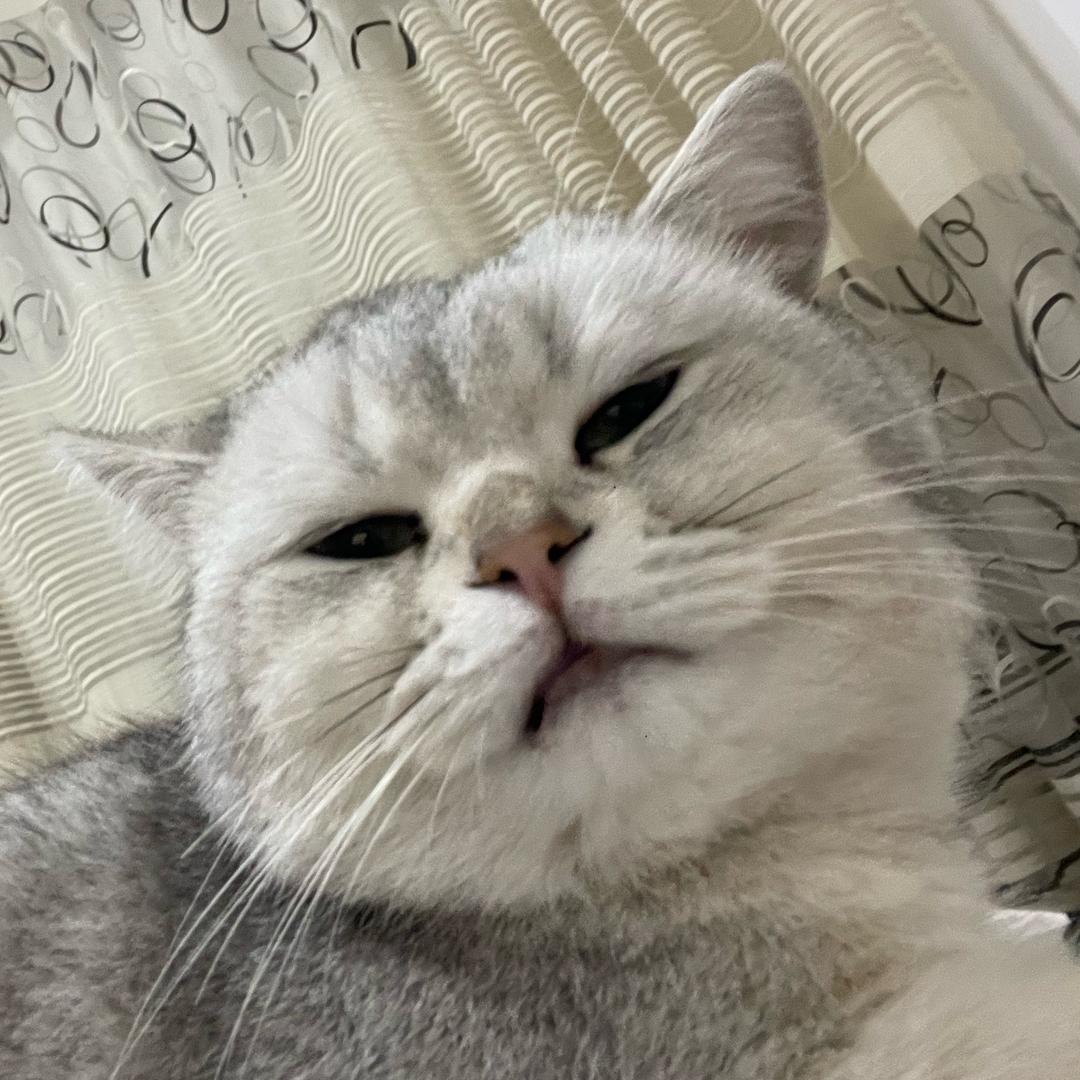 AAAAAA