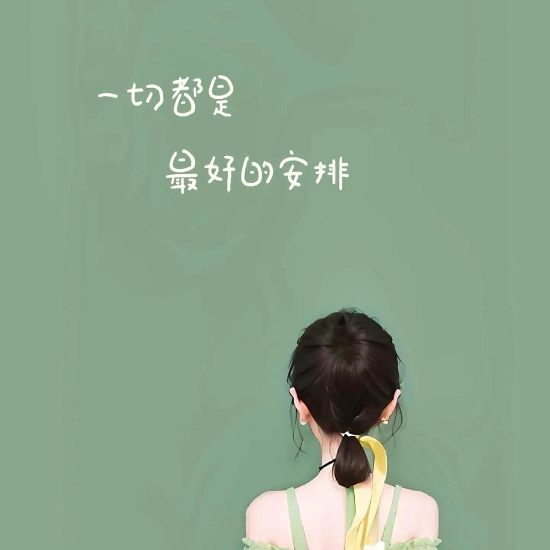 昭昭如愿