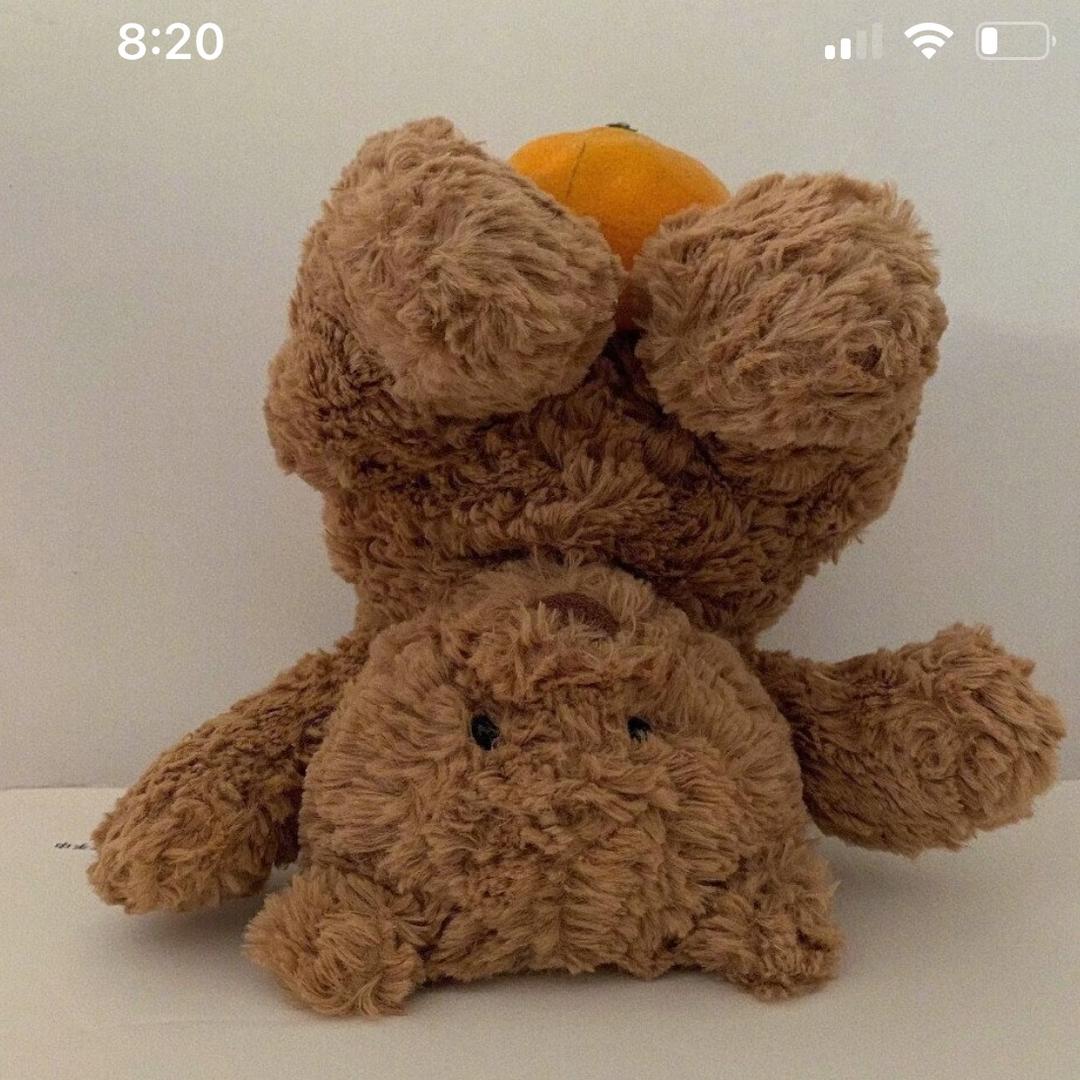 🌈先救小狗🐶