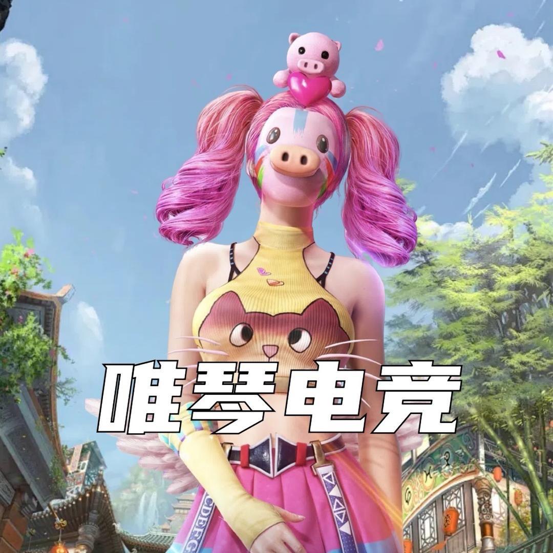 唯琴电竞