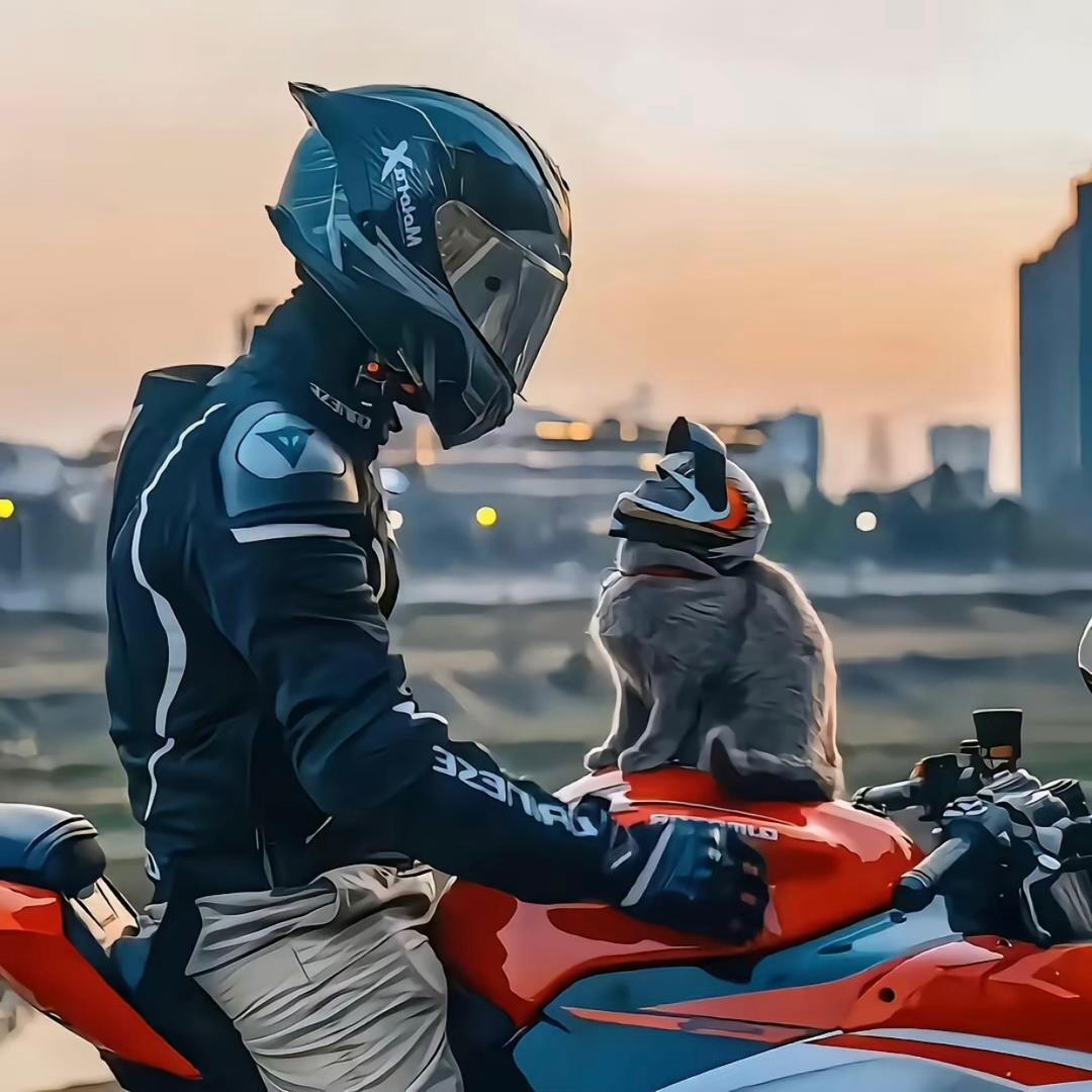 高兴 点吧