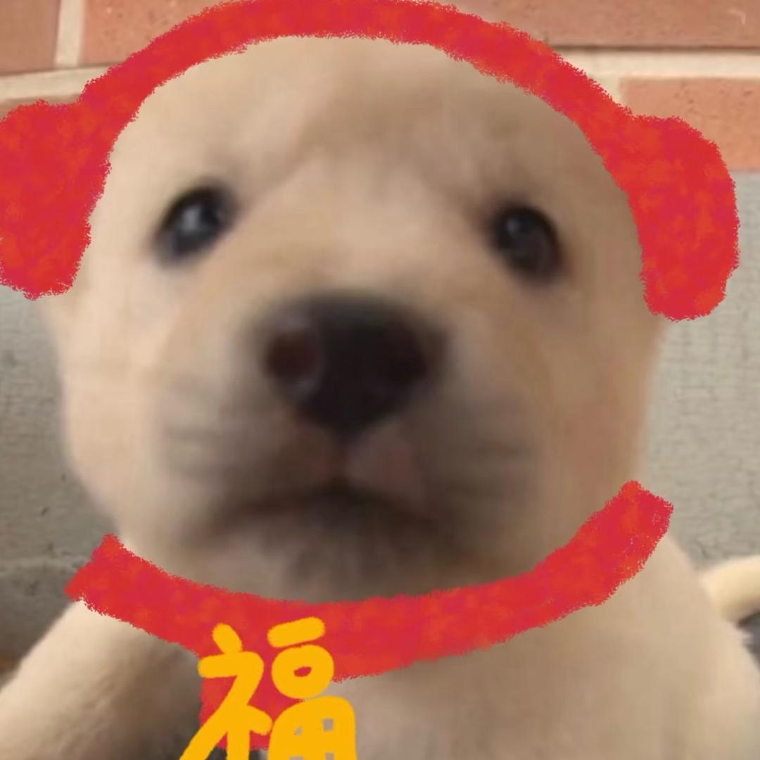 面条