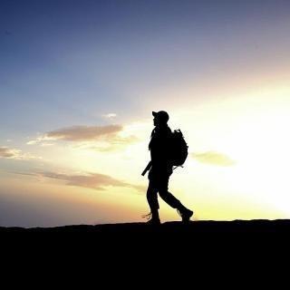 西乡科目二考场胡子先森