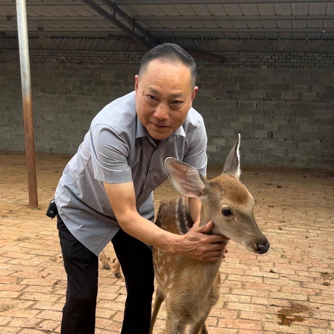 襄阳市传鼎畜牧养殖专业合作社