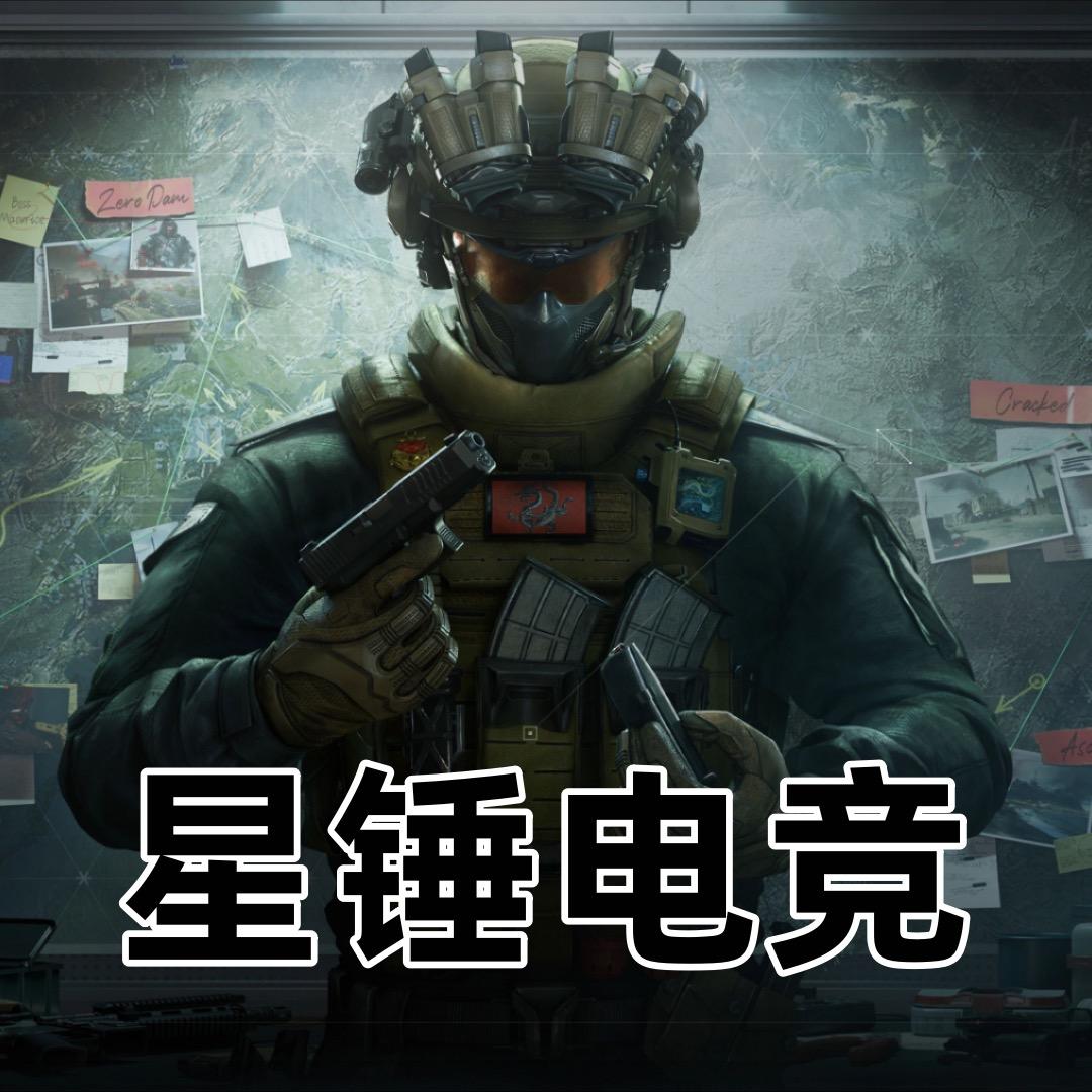 星锤电竞（三角洲代肝）