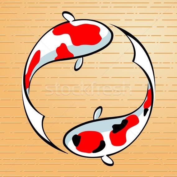 🌈井里游个锦鲤