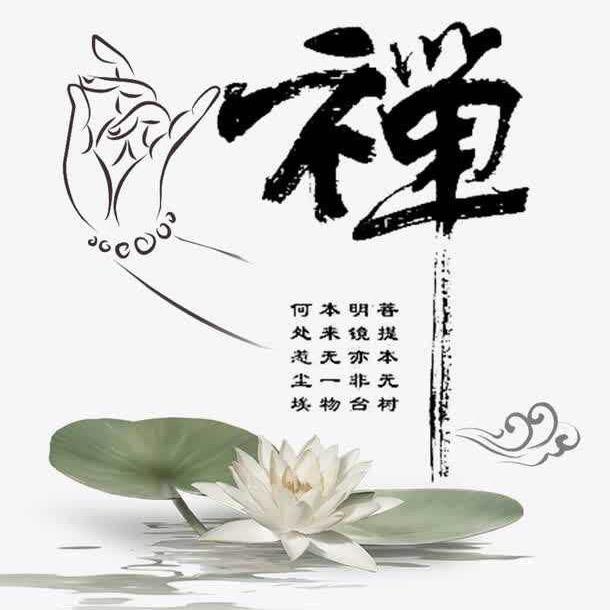 情歌小哥