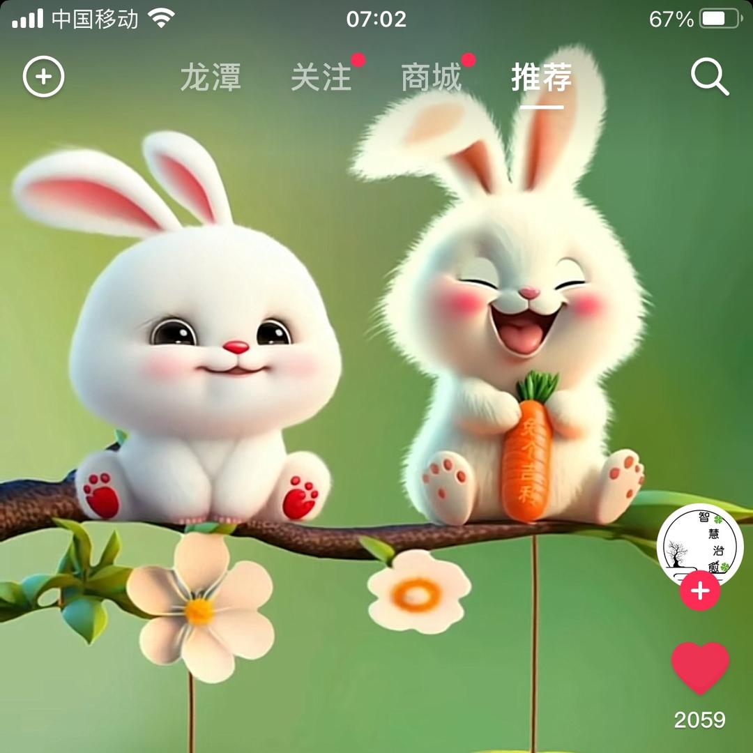 龙凤呈祥