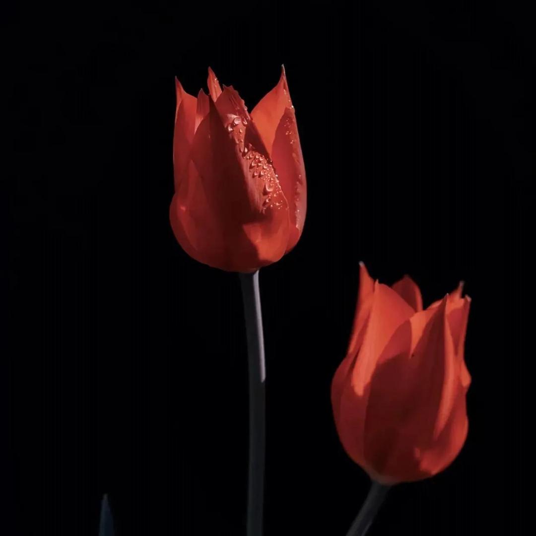 七尤丘໑ຼ₀₂₃