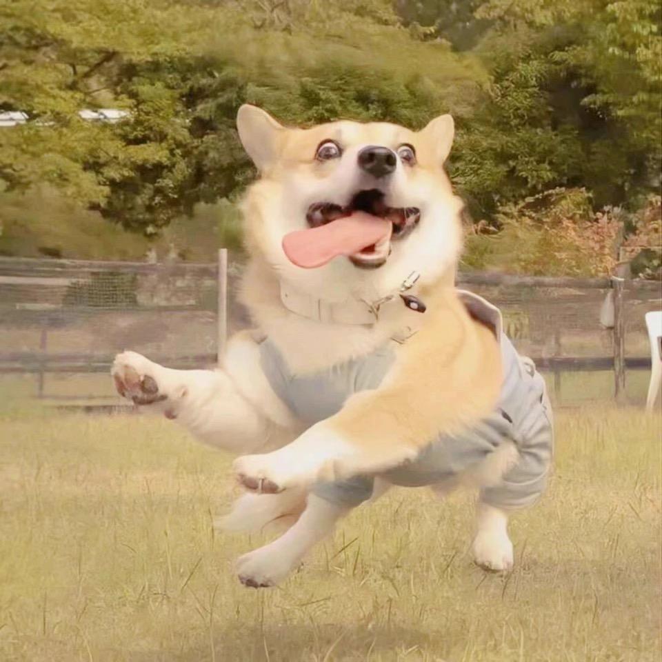 助理朵朵