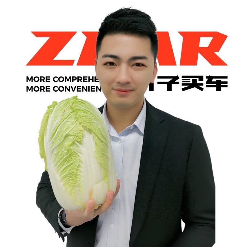 竹子买车（白菜哥）