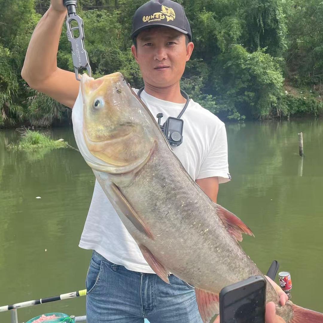 黑子🎣
