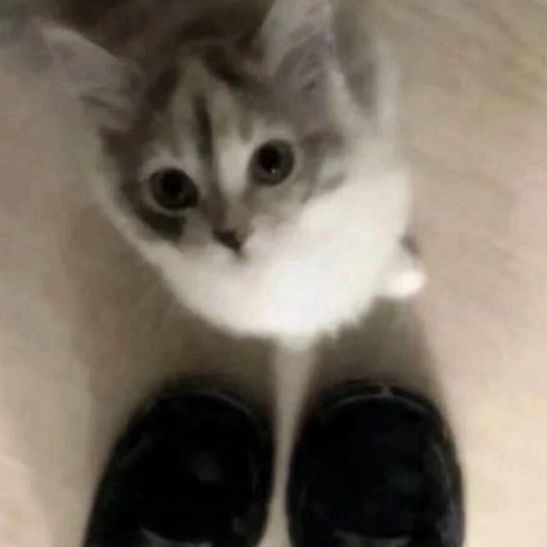 王木木_