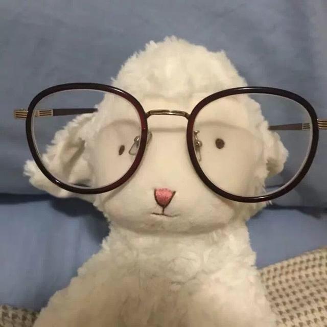 一只杨💕
