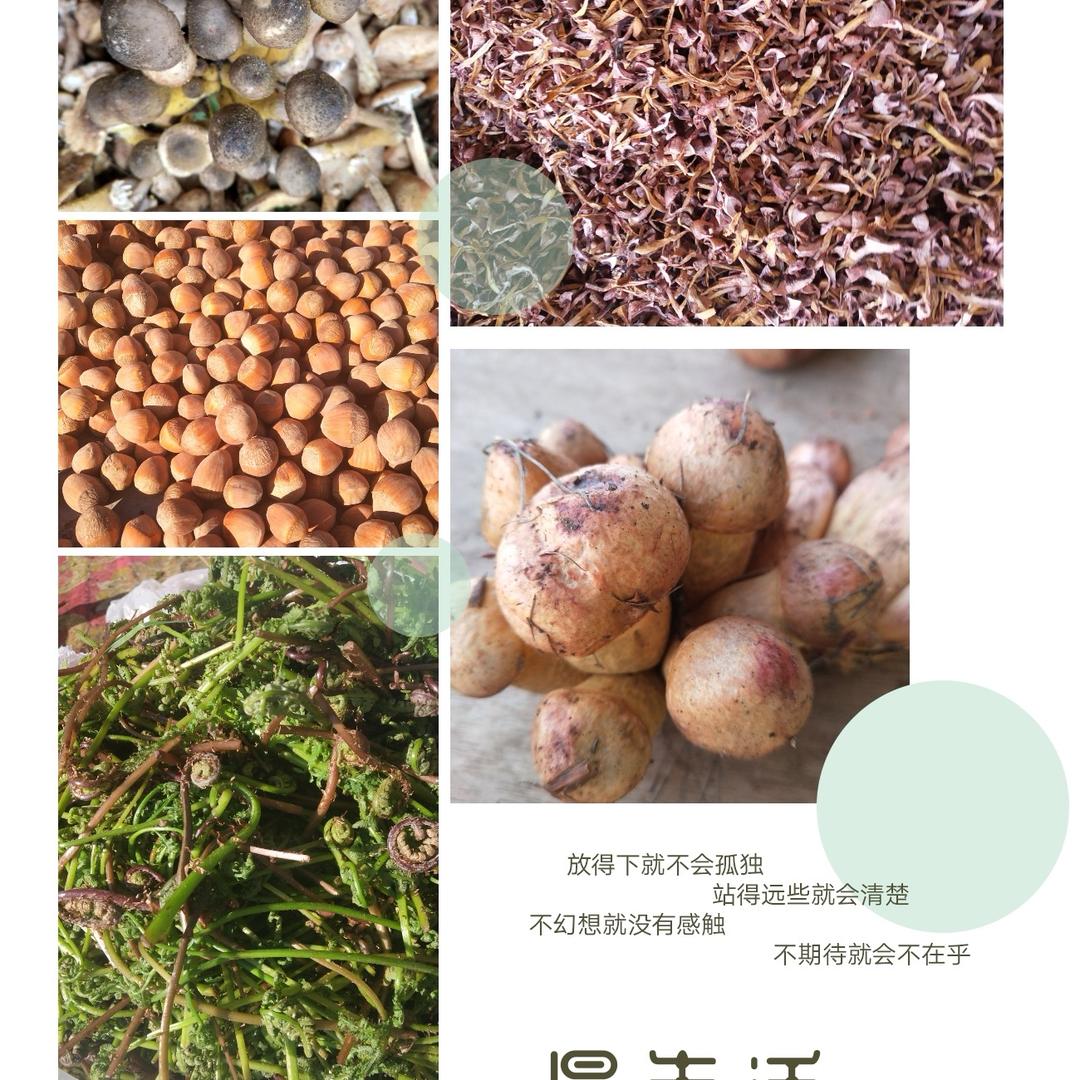 文职选岗王老师