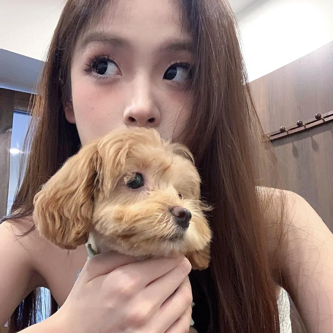 CCXIXI^