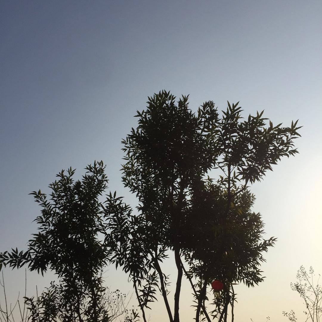 心太重