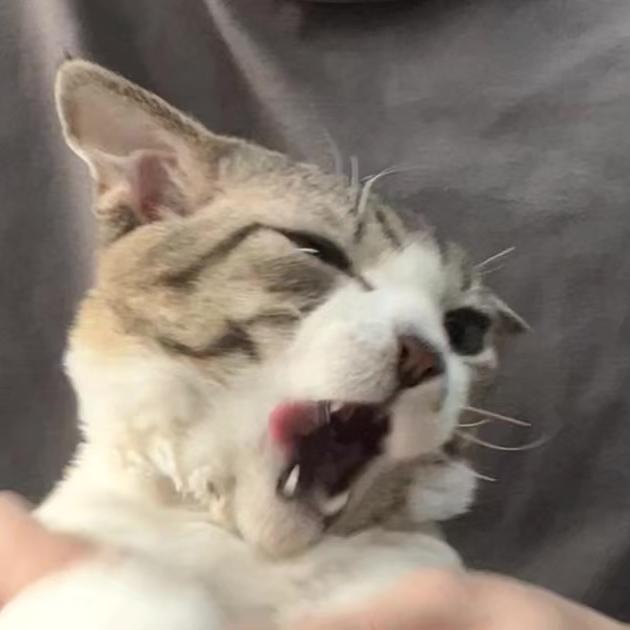 岱岳大叔的小店