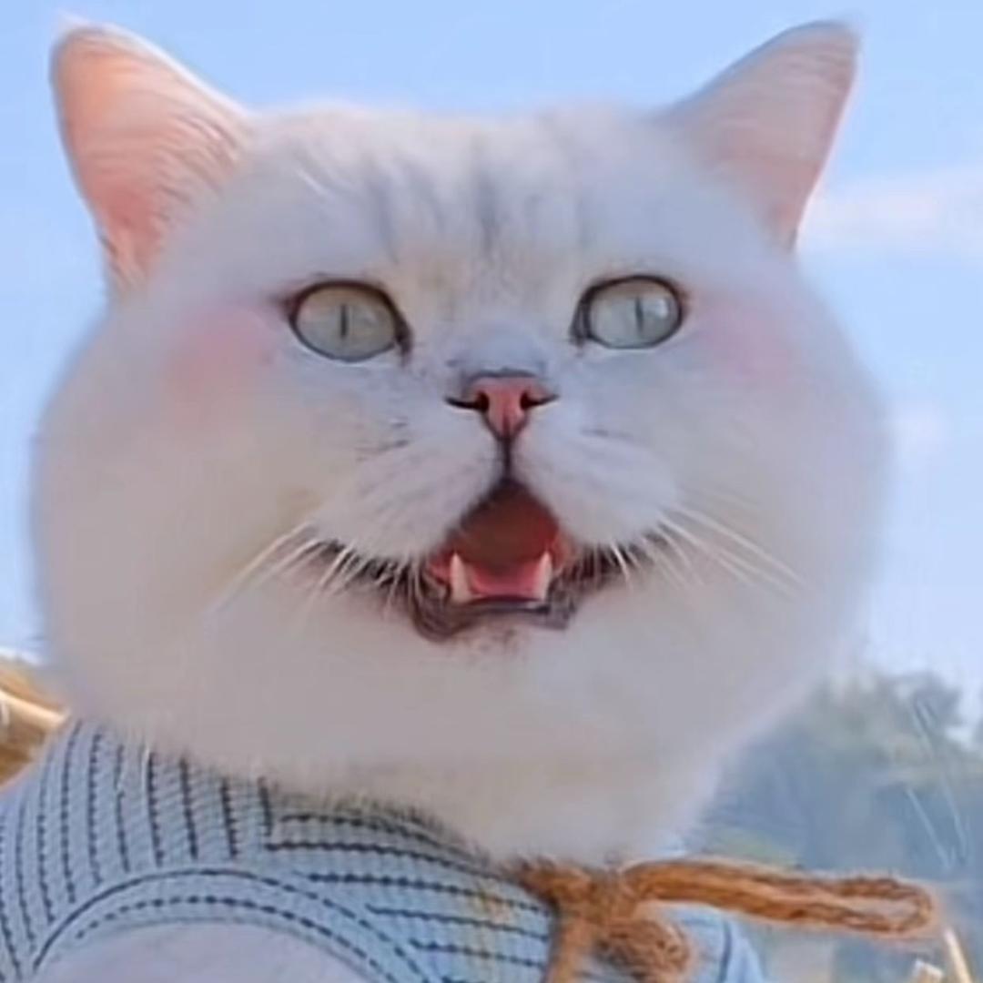 呼弟
