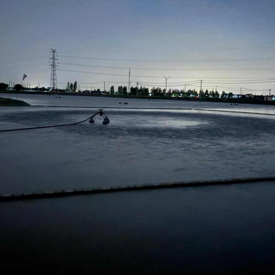 阳光同学