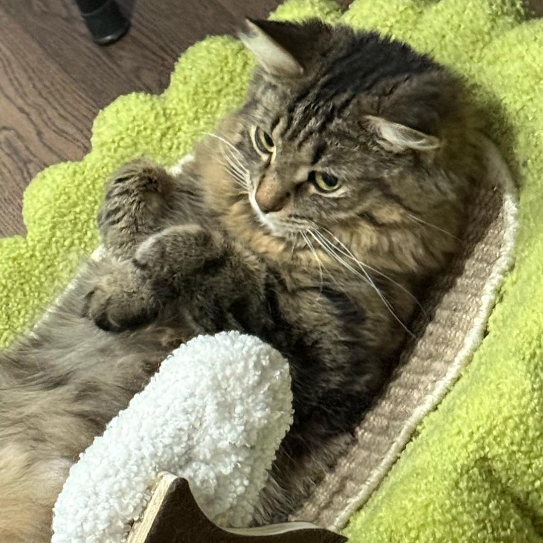 请叫我用户壹肆零叁