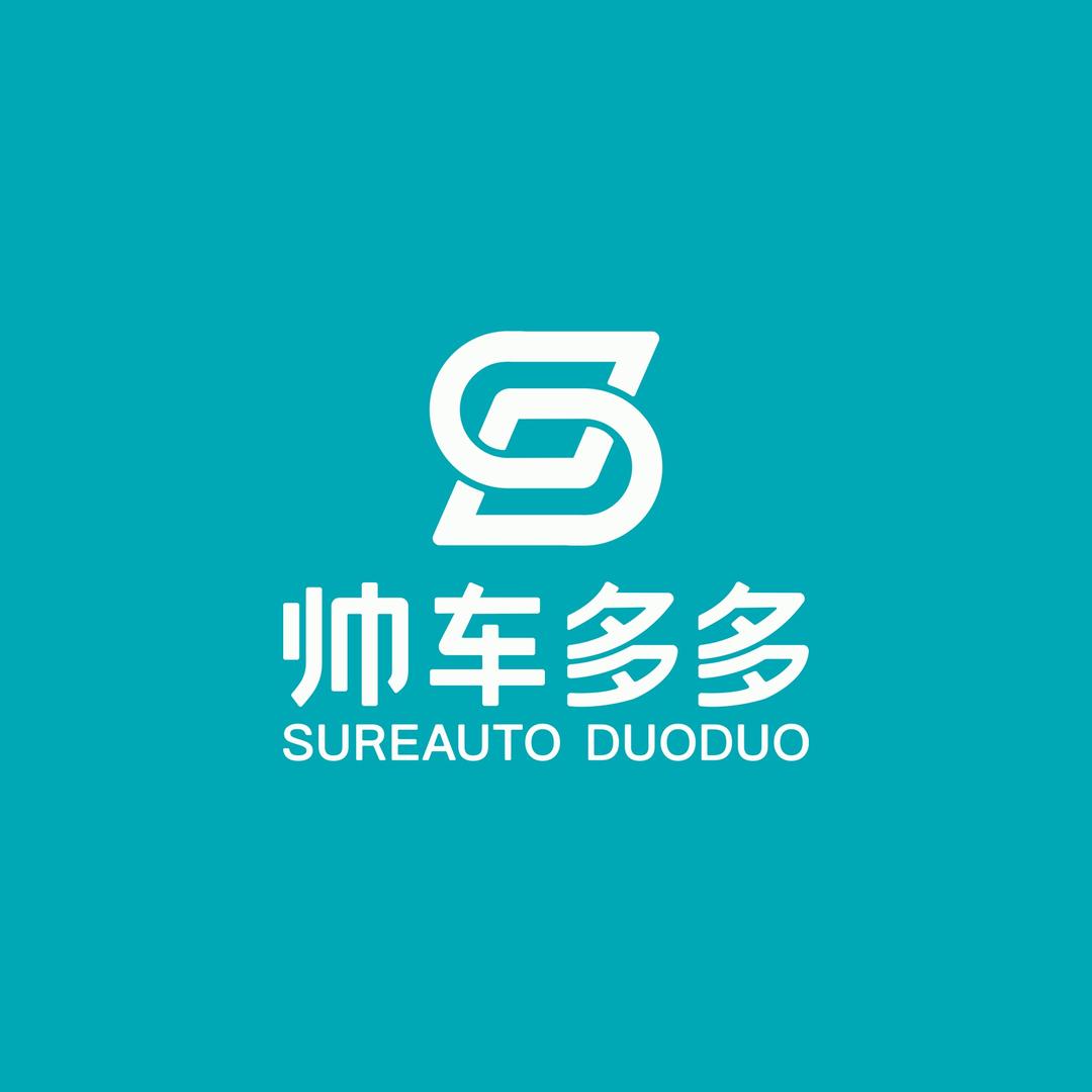 帅车多多电车购