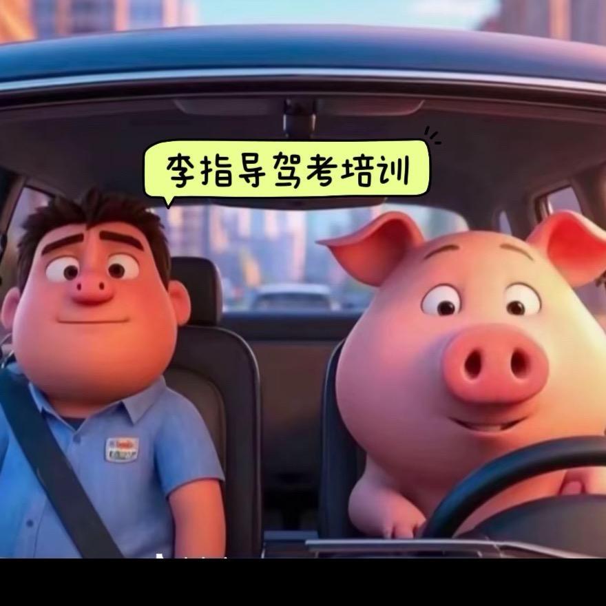 辽阳李指导驾考培训中心
