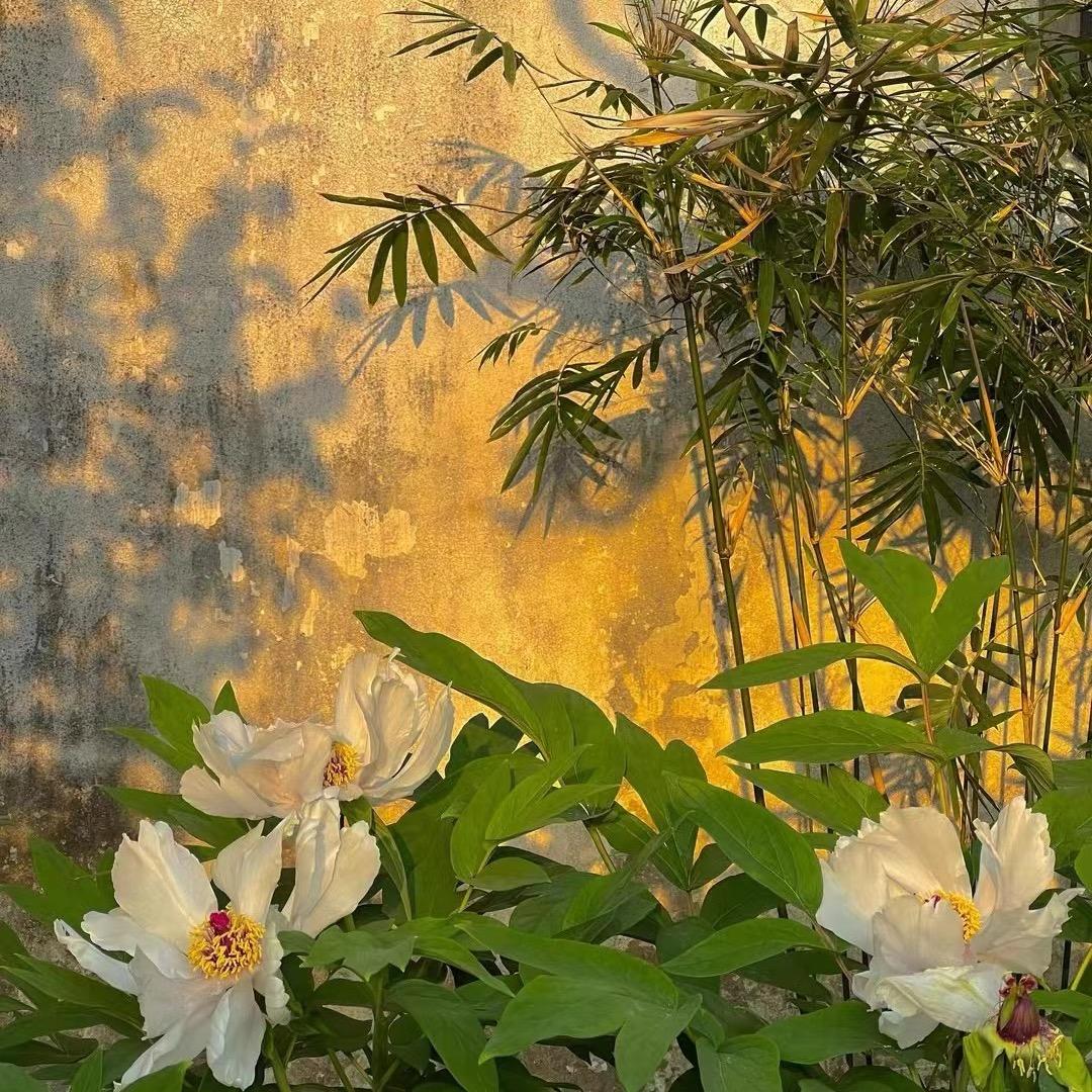 大方
