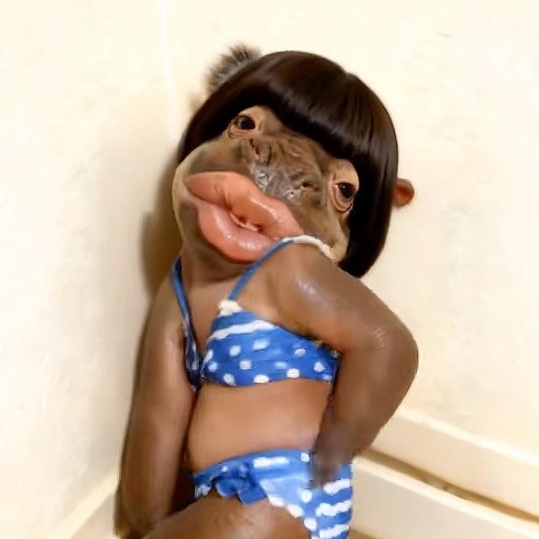 🦛🦛🦛🦛🦛🦛🦛🦛🦛🦛