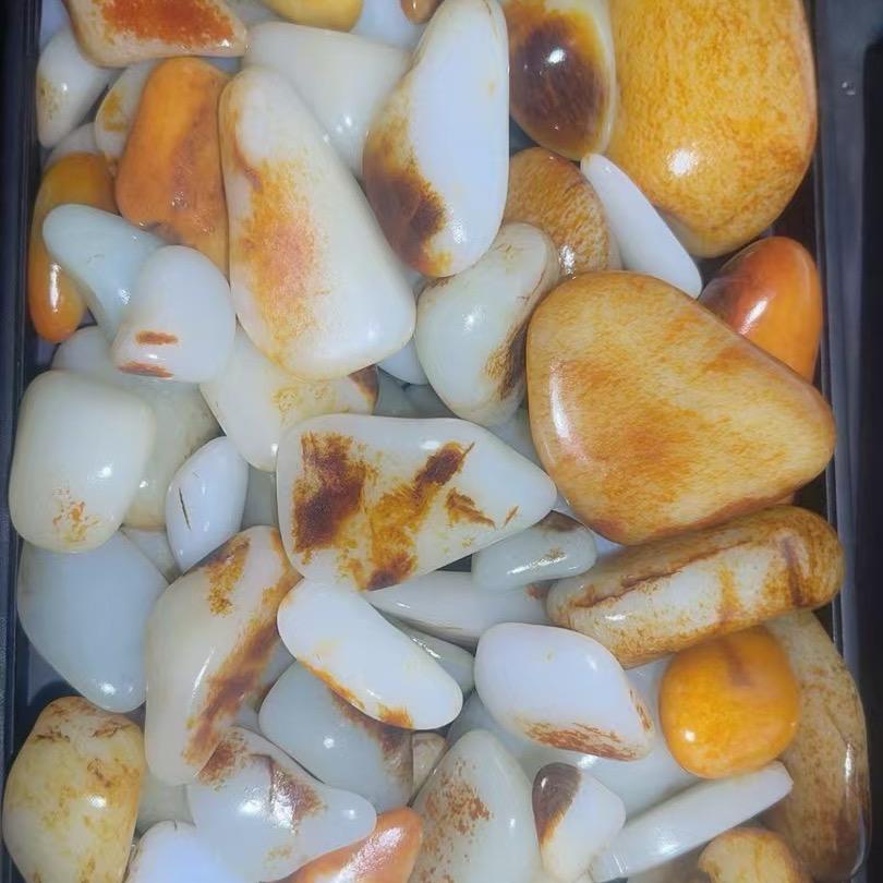 籽玉出和田6