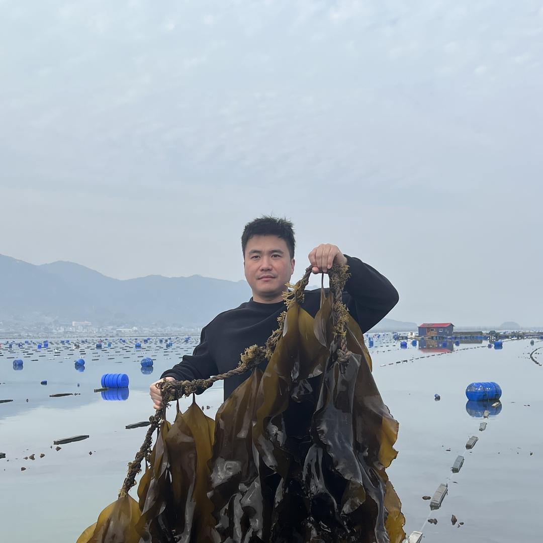 不吃小鱼供应链