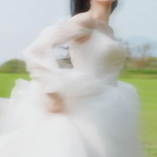 借风拥迪.