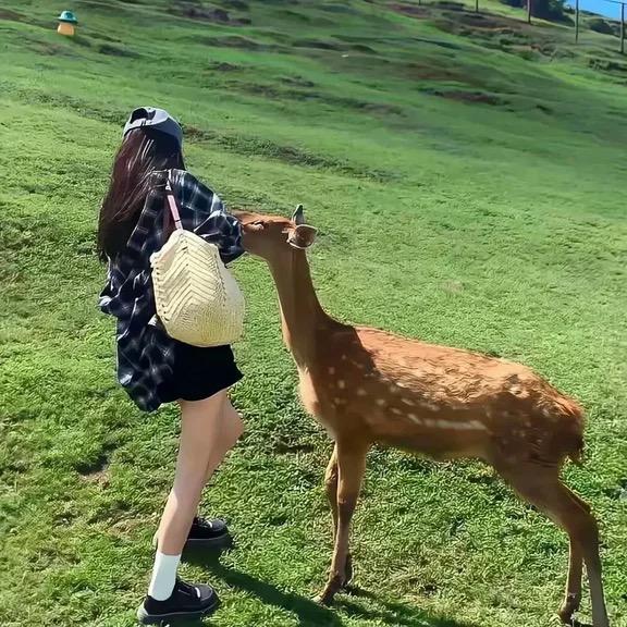 莎莎