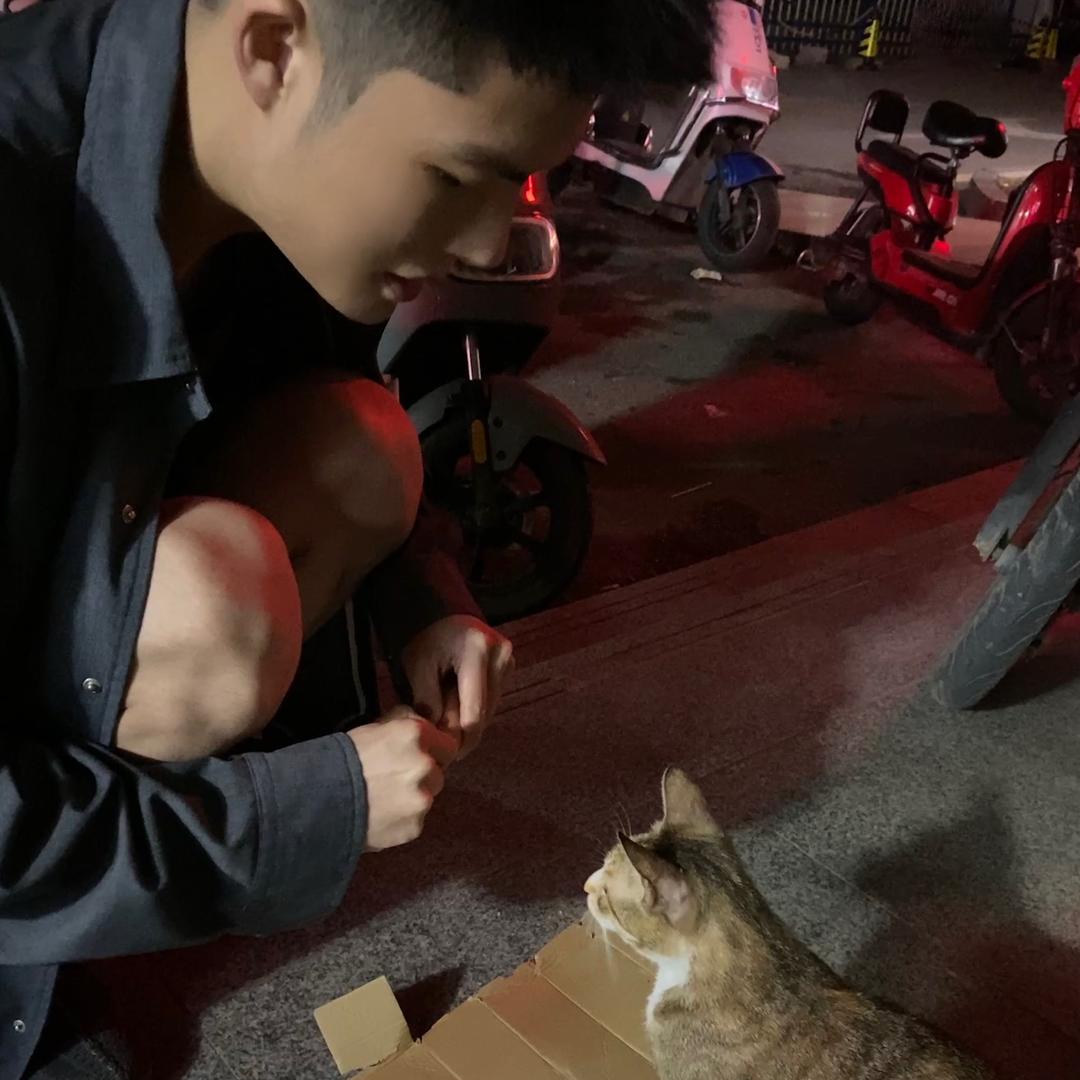 尼罗河会员