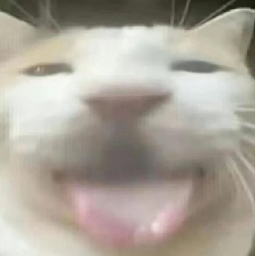 眠桑