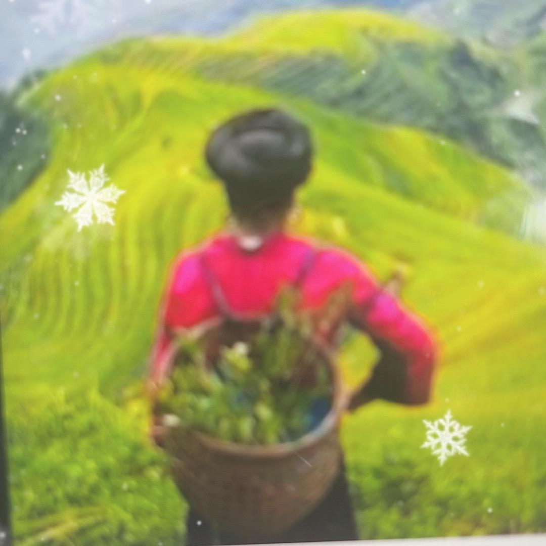 萱萱甄选