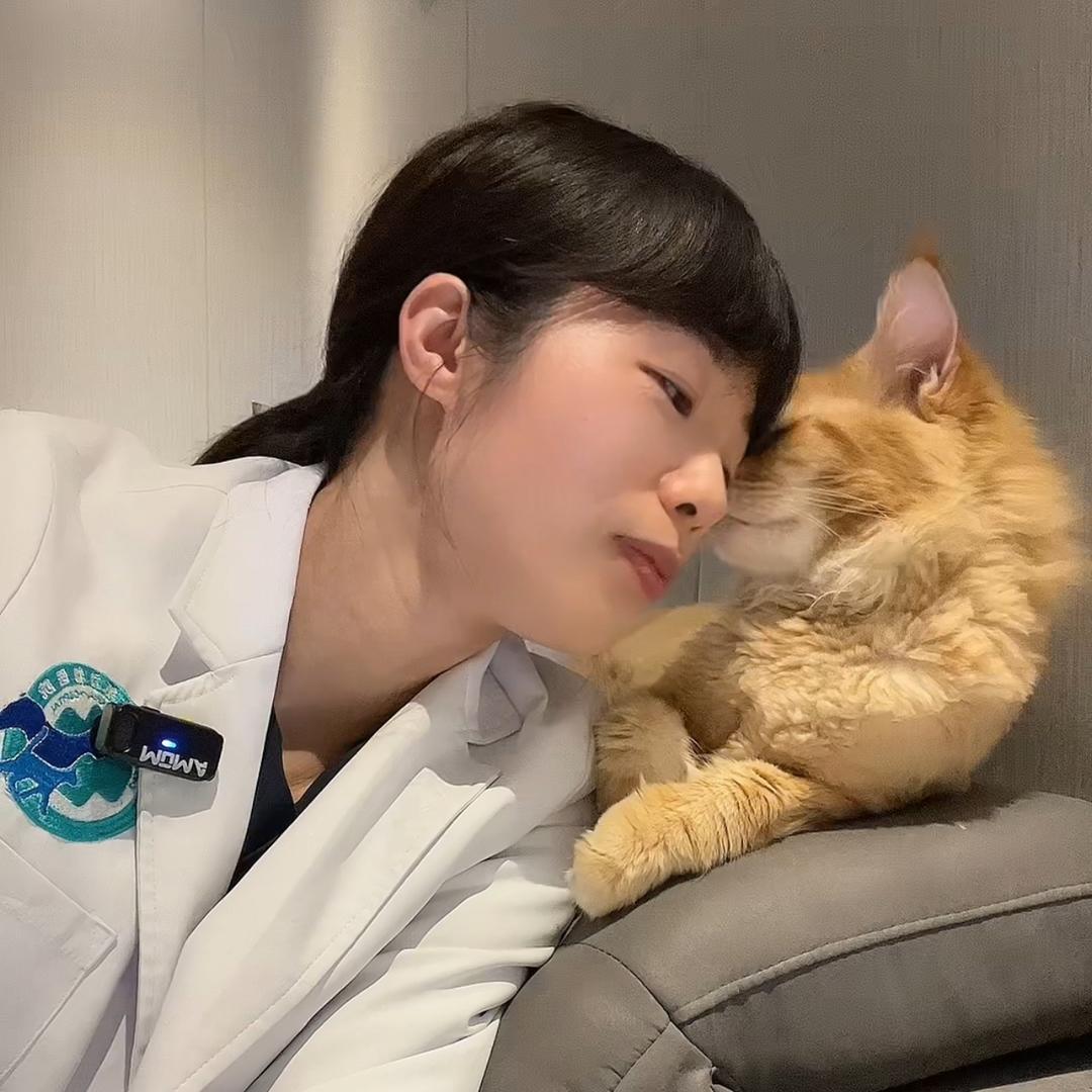 宠医锦李