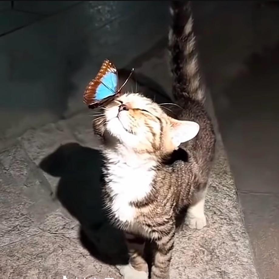 無 法 長 大