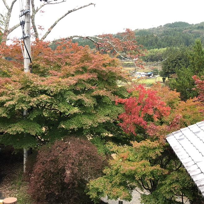 追逐一切未完成的梦