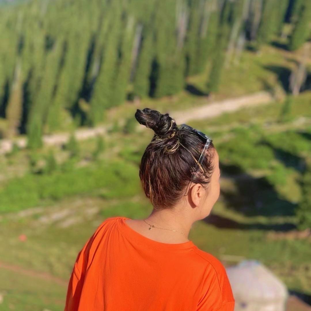 niGaR520