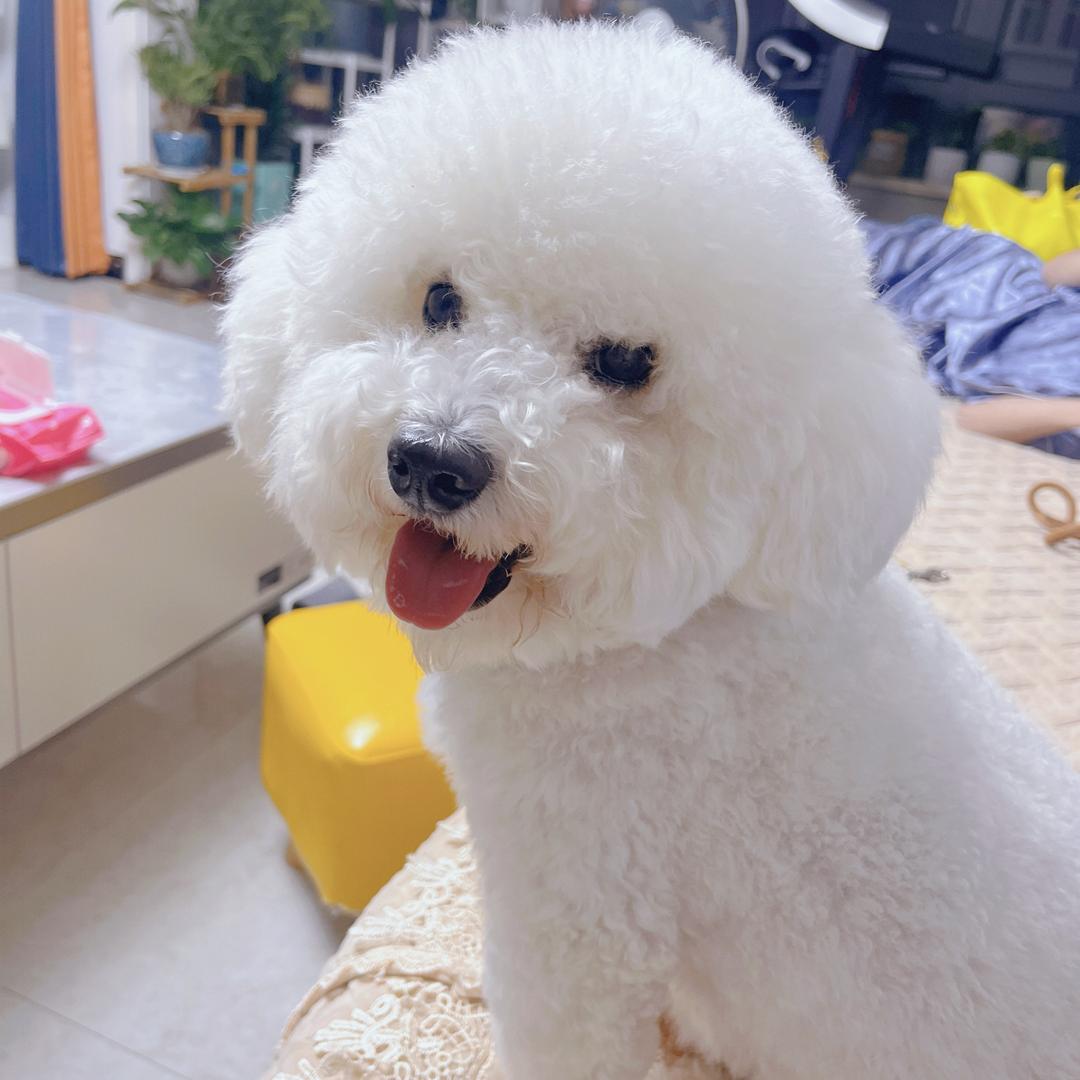 晴✨