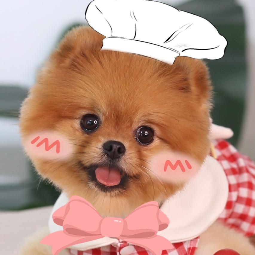 coco是只狗