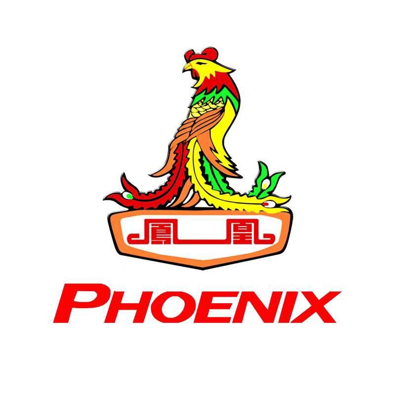 凤凰童车4s店