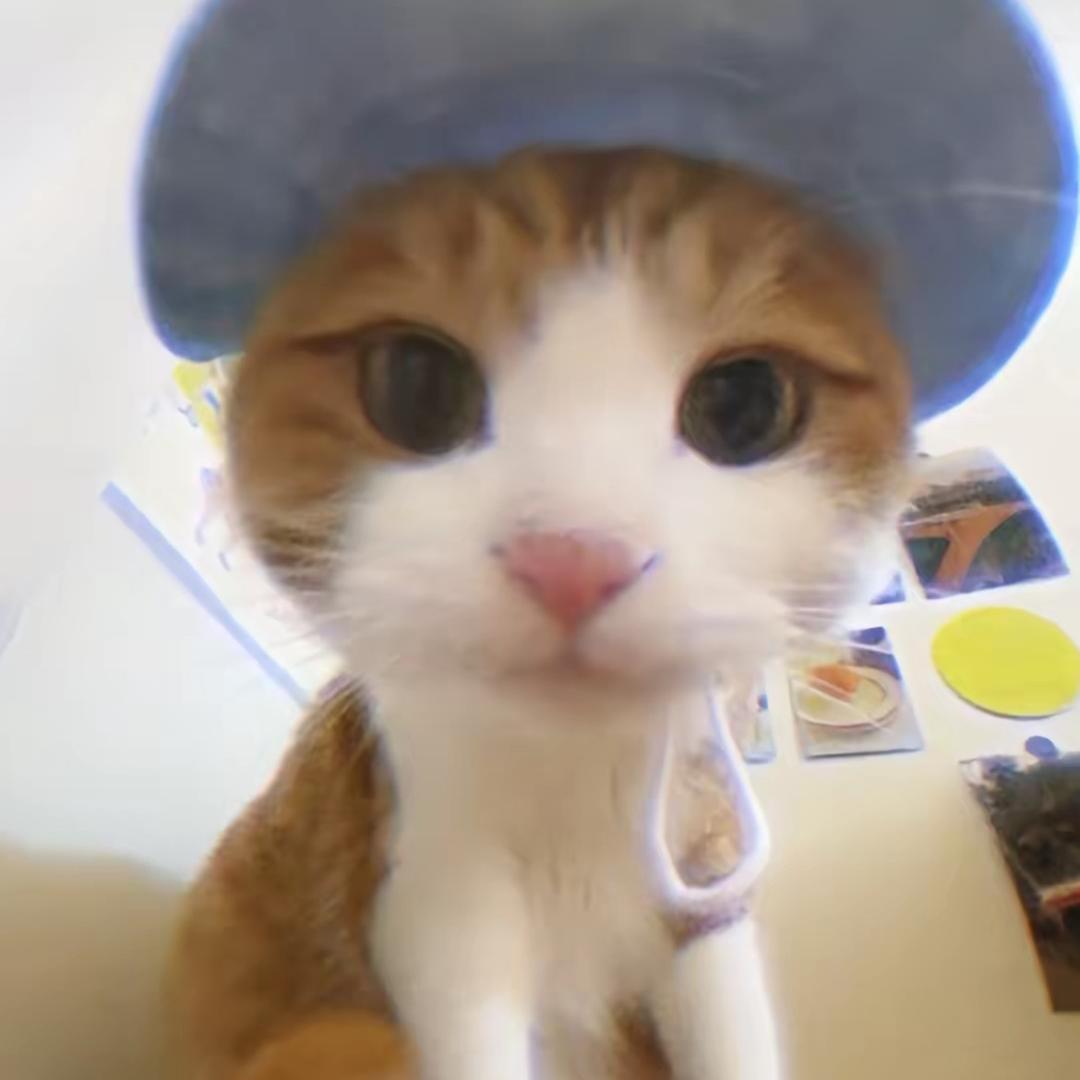 拳斗大虫