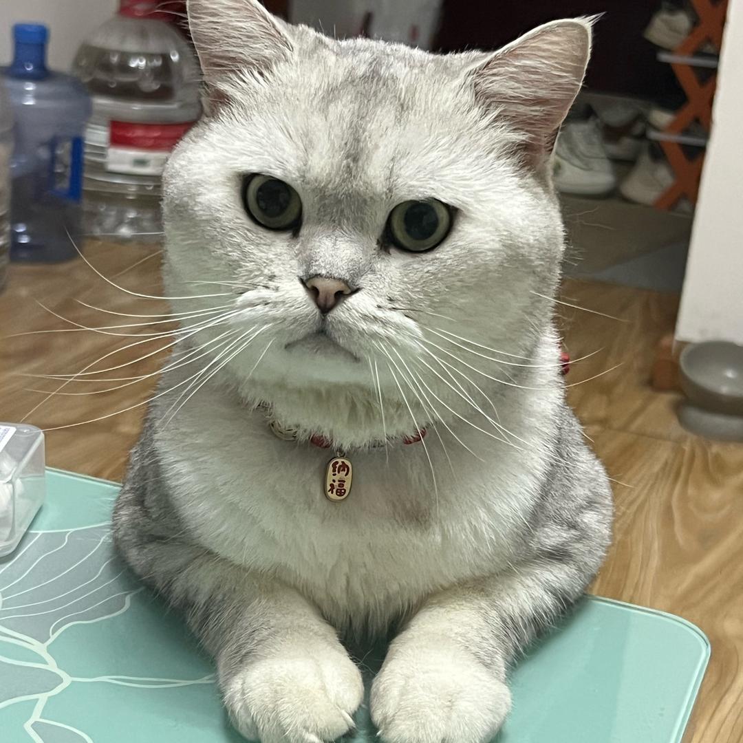 葡萄熟了