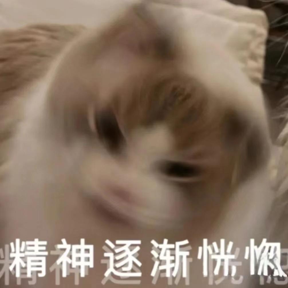 泡泡茶狐