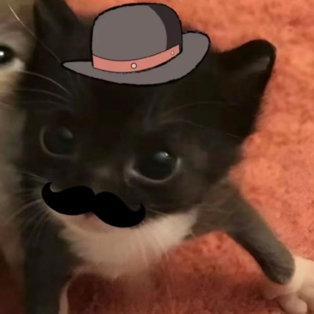 11^o^
