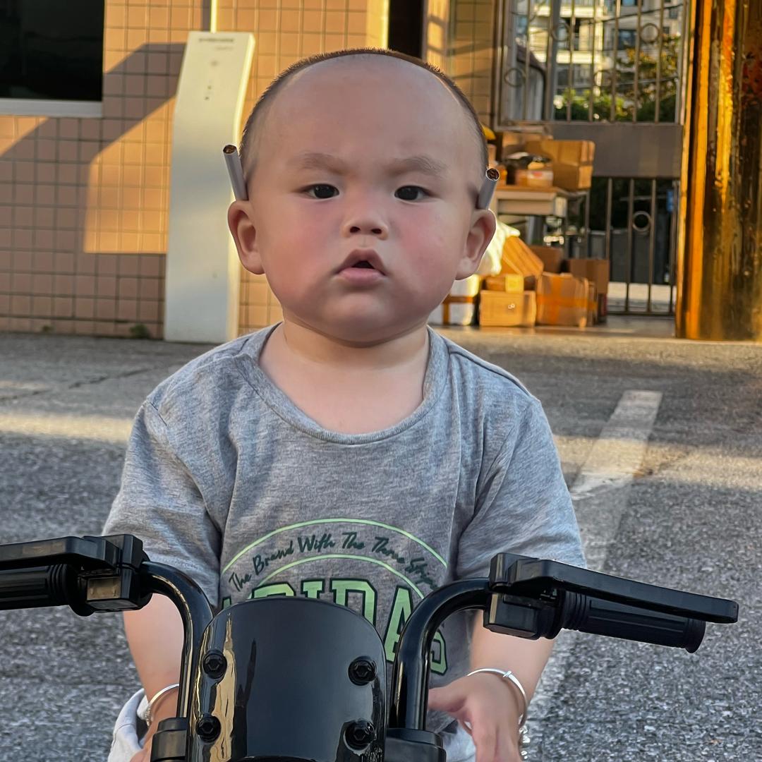伊丽莎白的丽